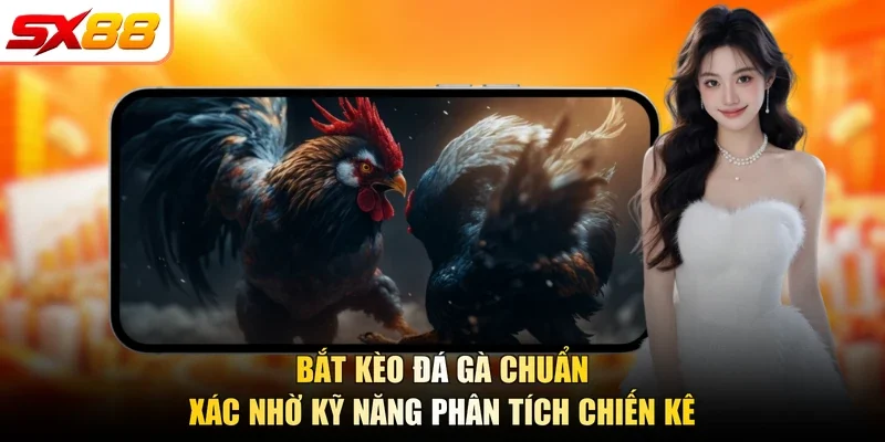 Bắt Kèo Đá Gà SX88 Chuẩn 2026 Nhờ Kỹ Năng Quan Sát - slotlegend.buzz