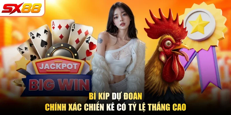 Đá Gà SX88 - Đơn Vị Cá Cược Với Đa Dạng Hình Thức Thi Đấu - slotlegend.buzz