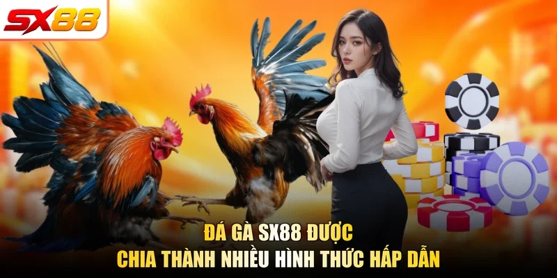 Đá Gà SX88 - Đơn Vị Cá Cược Với Đa Dạng Hình Thức Thi Đấu - slotlegend.buzz