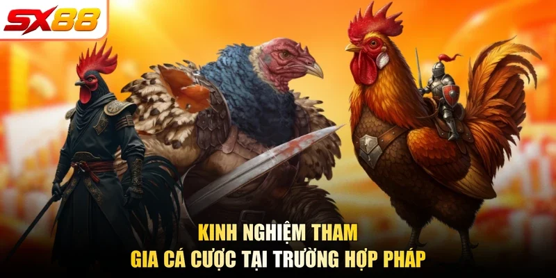 Trường Gà Hợp Pháp | Biểu Tượng Đá Kê SX88 Năm 2026 - slotlegend.buzz