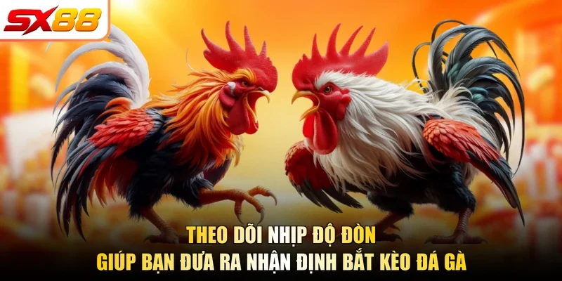 Bắt Kèo Đá Gà SX88 Chuẩn 2026 Nhờ Kỹ Năng Quan Sát - slotlegend.buzz
