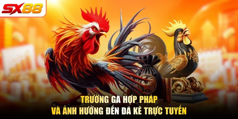 Trường Gà Hợp Pháp | Biểu Tượng Đá Kê SX88 Năm 2026 - slotlegend.buzz